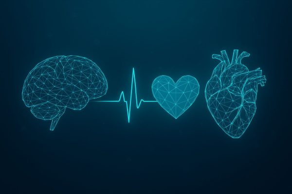 România adoptă prima strategie națională pentru combaterea bolilor cardiovasculare și cerebrovasculare 2025–2030
