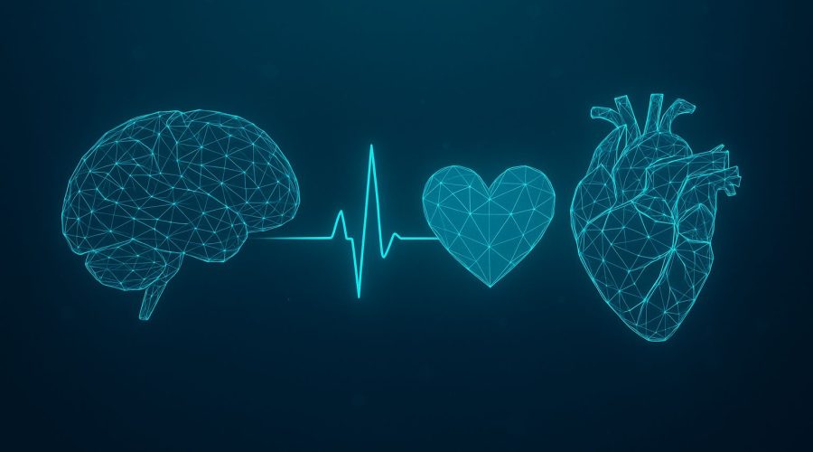 strategie națională pentru combaterea bolilor cardiovasculare și cerebrovasculare