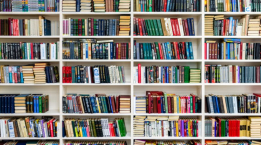 Litera.ro lansează Black Friday